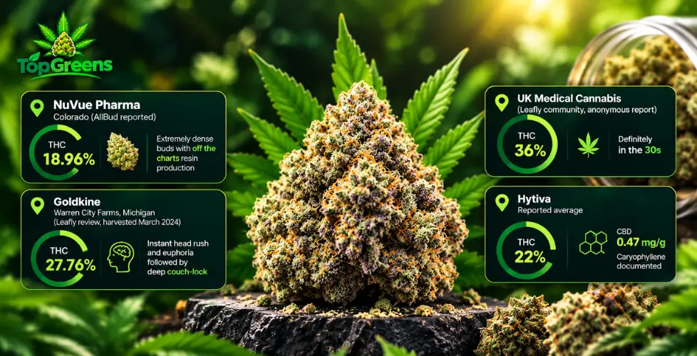 Donkey Butter THC and CBD Levels — What the Data Actually Shows